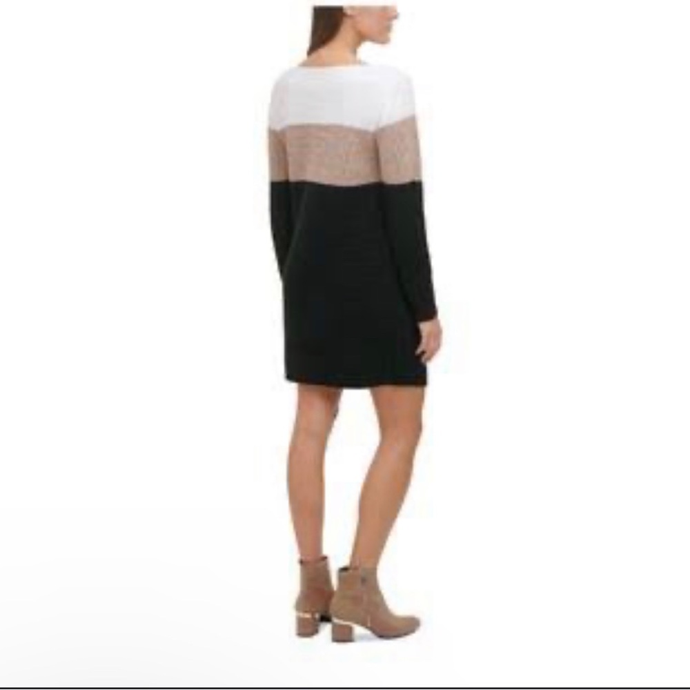 Allison Brittney Sweater/dress